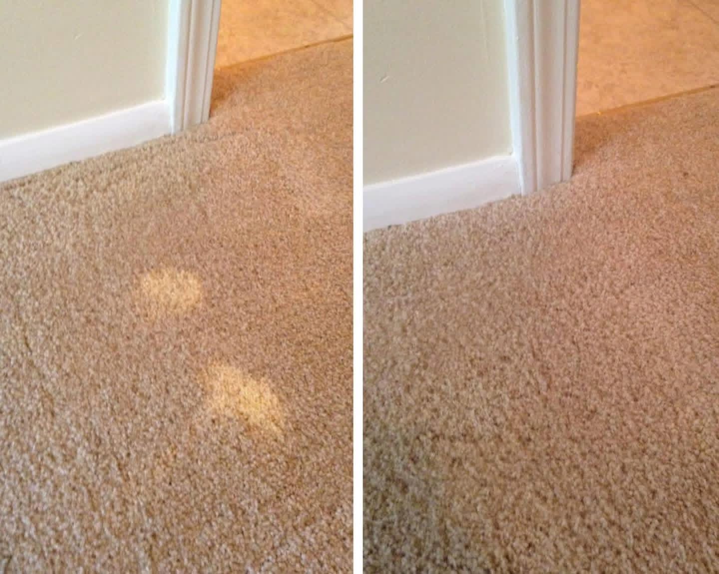 Bleach Spot Repair example